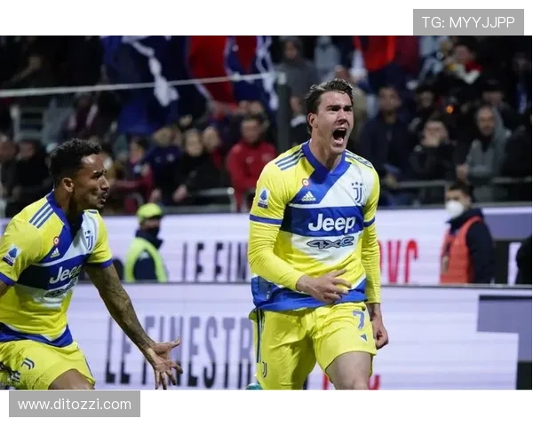 弗拉霍维奇生涯数据与团队成绩解析